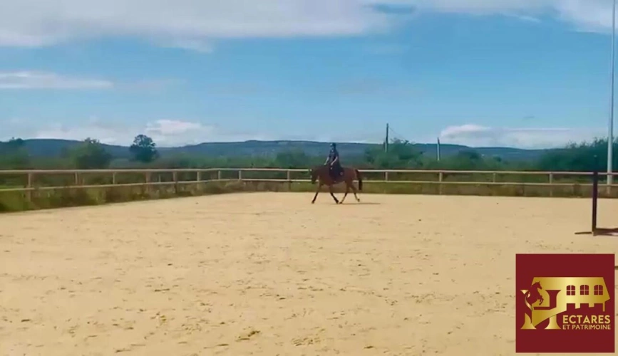 Photos 3 - Équestre - Magnifique propriété équestre 5,5 hectares