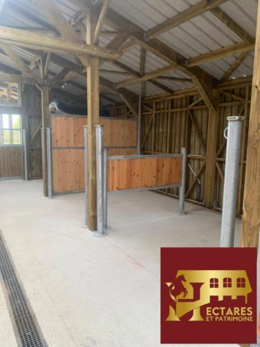 Photos 6 - Équestre - Magnifique propriété équestre 5,5 hectares