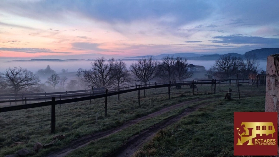 Photos 4 - Équestre - Propriété équestre 12,9 hectares
