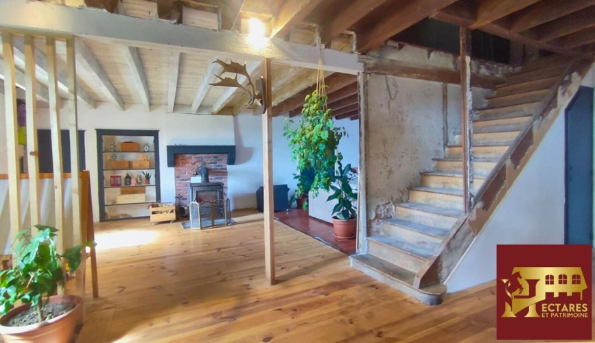 Photos 5 - Équestre - Propriété équestre 12,9 hectares