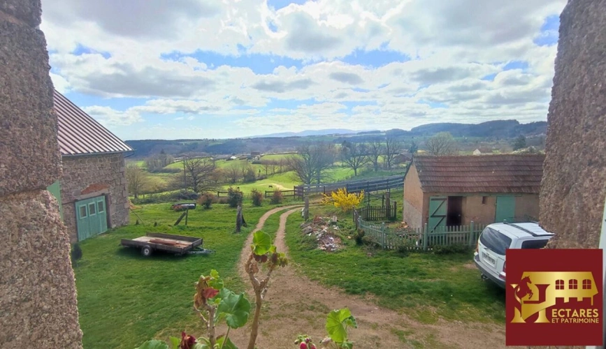 Photos 9 - Équestre - Propriété équestre 12,9 hectares