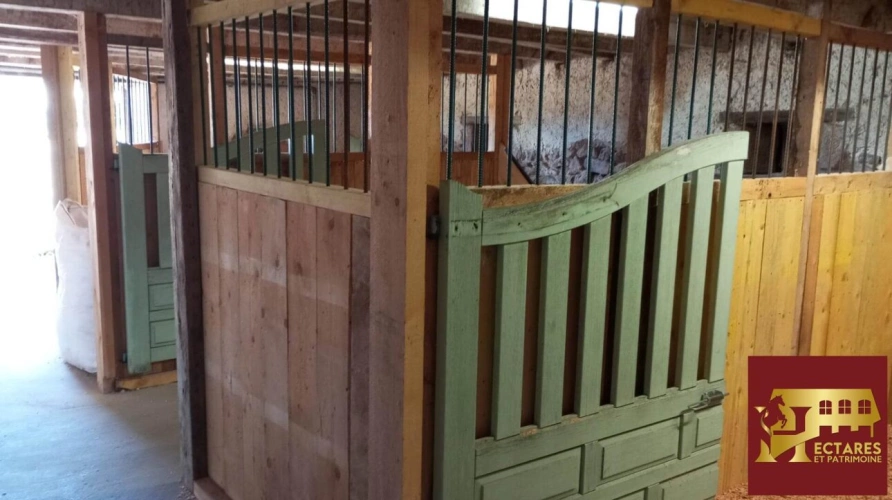 Photos 13 - Équestre - Propriété équestre 12,9 hectares