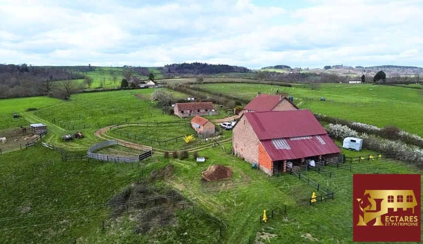 Photos 14 - Équestre - Propriété équestre 12,9 hectares