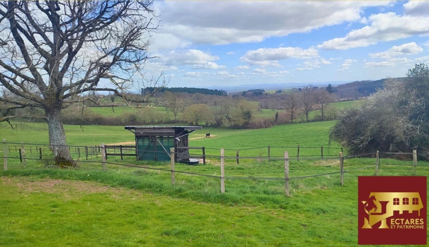 Photos 15 - Équestre - Propriété équestre 12,9 hectares