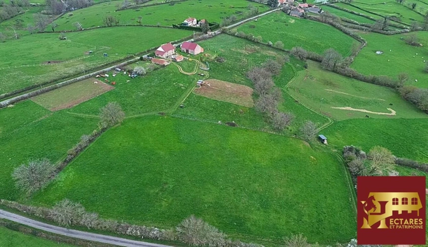 Photos 16 - Équestre - Propriété équestre 12,9 hectares