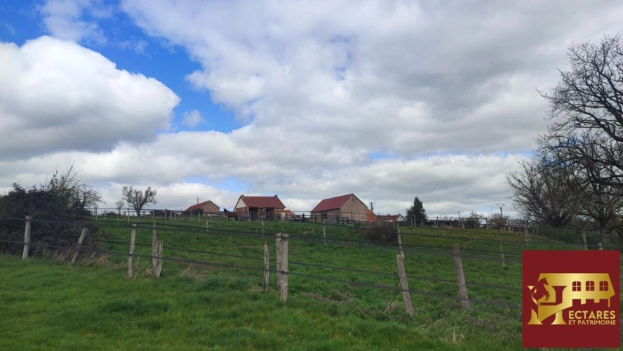 Photos 17 - Équestre - Propriété équestre 12,9 hectares