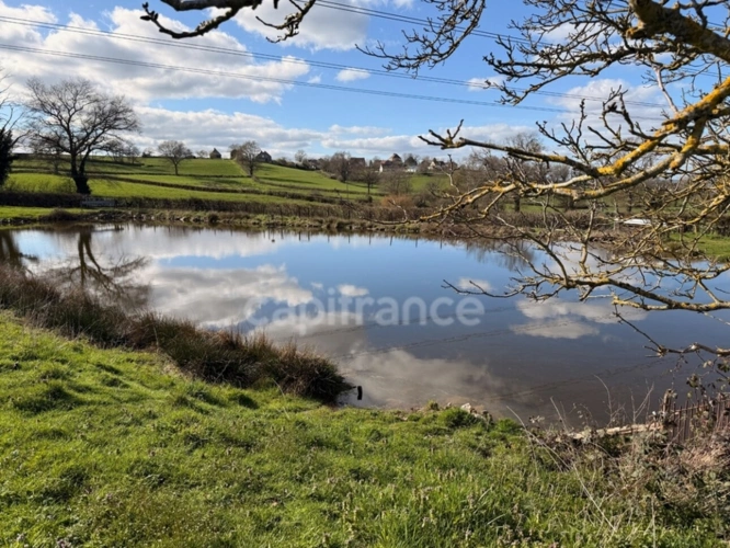 Photos 3 - Forestière - Etang avec terrain à vendre  SAINT LAURENT D'ANDENAY (71)