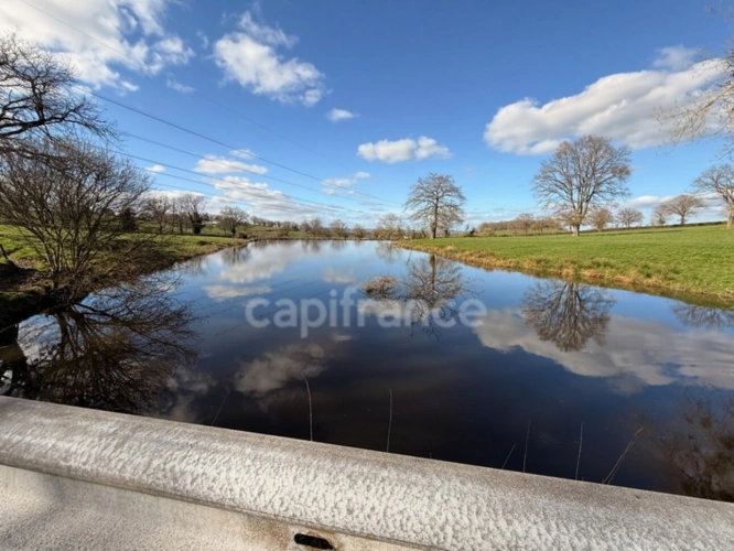 Photos 6 - Forestière - Etang avec terrain à vendre  SAINT LAURENT D'ANDENAY (71)