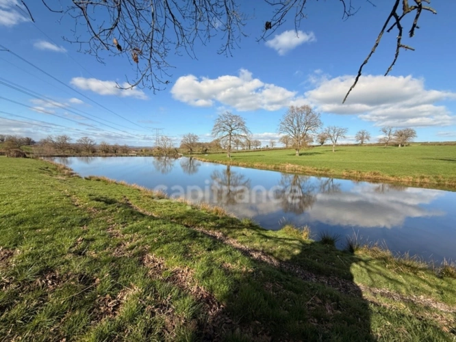 Photos 7 - Forestière - Etang avec terrain à vendre  SAINT LAURENT D'ANDENAY (71)