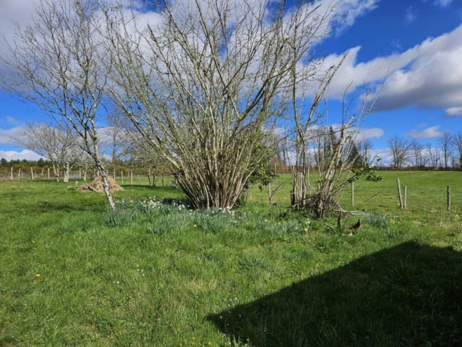 Photos 19 - Rurale - Corps de ferme