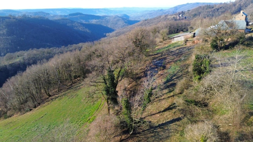 Photos 19 - Rurale - Maison