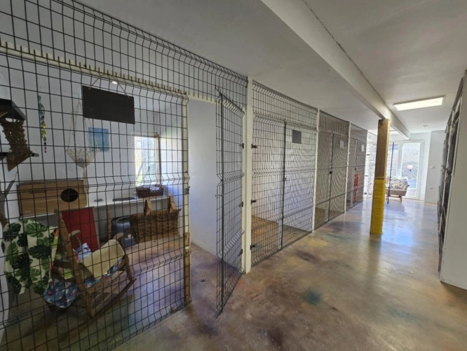 Photos 16 - Équestre - Maison de caractère