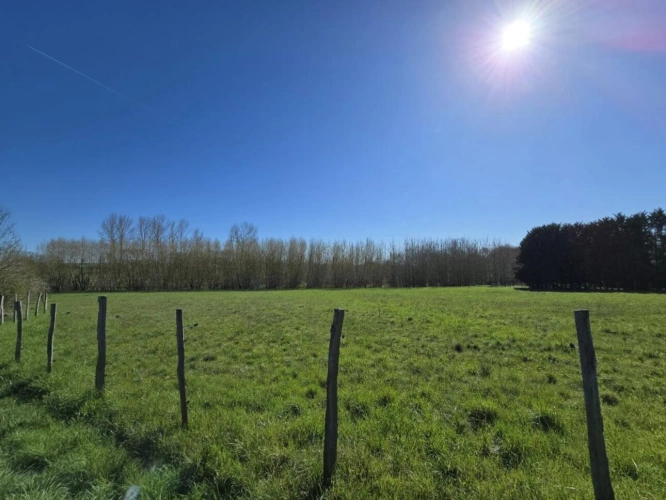 Photos 18 - Équestre - Maison de caractère