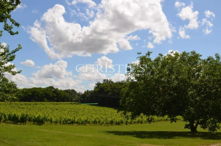 Photos 9 - Viticole - Très beau domaine viticole en AOC Montravel, Haut-Montravel et Côtes de Bergerac - Biologique