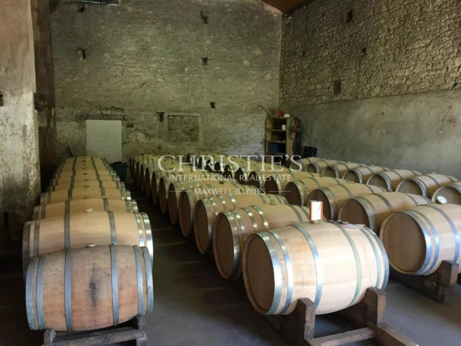 Photos 16 - Viticole - Très beau domaine viticole en AOC Montravel, Haut-Montravel et Côtes de Bergerac - Biologique