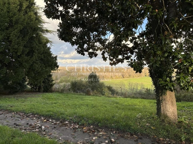 Photos 5 - Viticole - Domaine viticole au coeur de l'appellation Fronsac : Charme et Authenticité