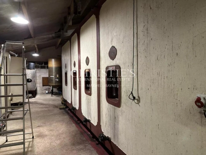 Photos 9 - Viticole - Domaine viticole au coeur de l'appellation Fronsac : Charme et Authenticité