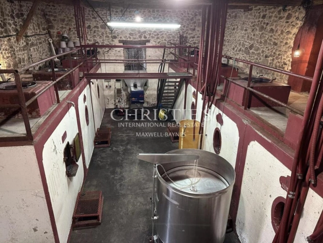 Photos 10 - Viticole - Domaine viticole au coeur de l'appellation Fronsac : Charme et Authenticité