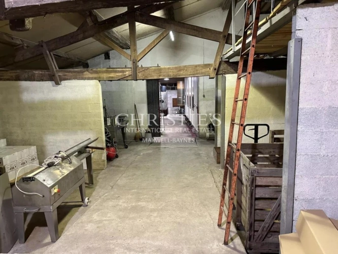 Photos 11 - Viticole - Domaine viticole au coeur de l'appellation Fronsac : Charme et Authenticité