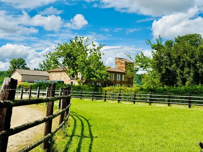 Photos 6 - Équestre - Propriété équestre pleine de charme