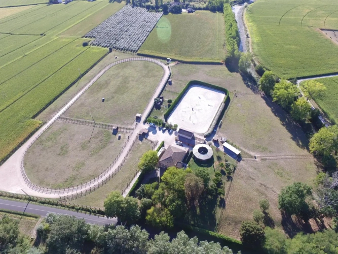 Photos 7 - Équestre - Propriété équestre pleine de charme