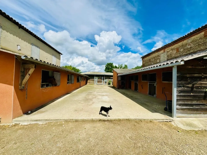 Photos 2 - Équestre - Propriété équestre pleine de charme