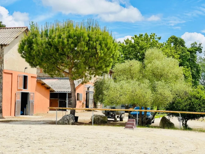 Photos 3 - Équestre - Propriété équestre pleine de charme