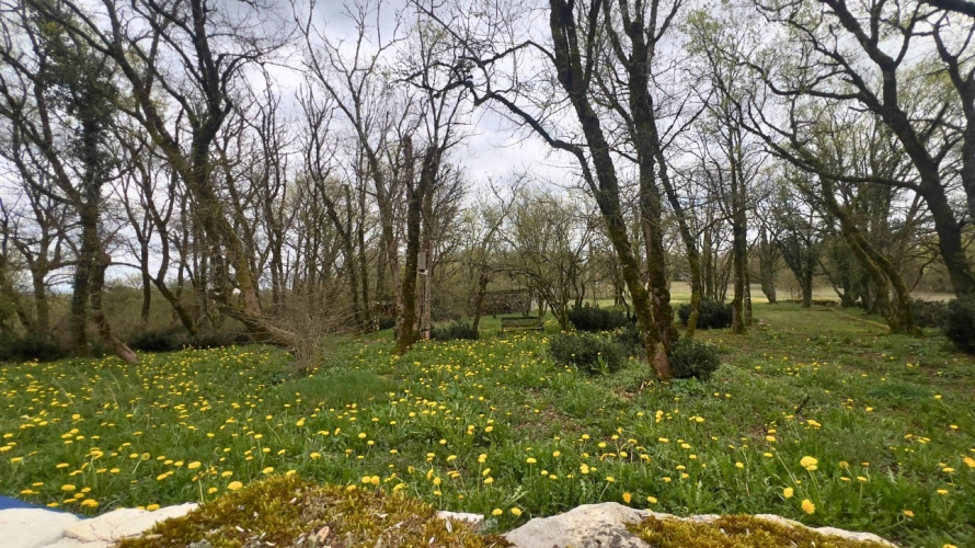 Photos 4 - Équestre - propriété de caractère de 6,4 hectares - Lot (46)
