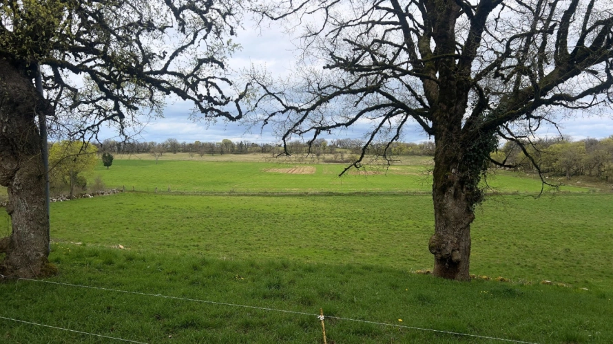 Photos 15 - Équestre - propriété de caractère de 6,4 hectares - Lot (46)