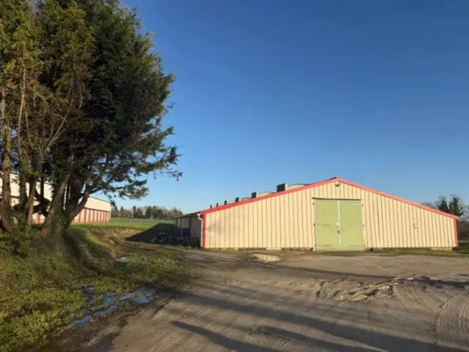 Photos 5 - Agricole - Ensemble agricole avec fort potentiel – Morbihan