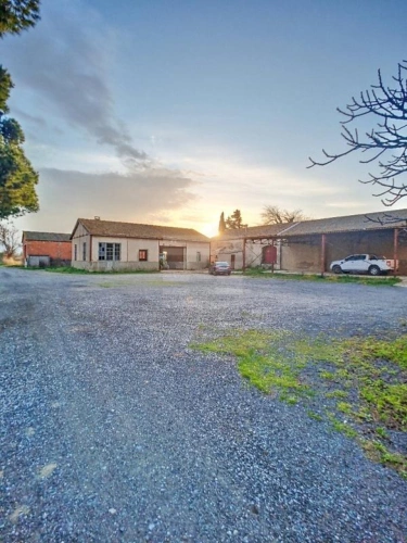 Photos 9 - Agricultural - Property