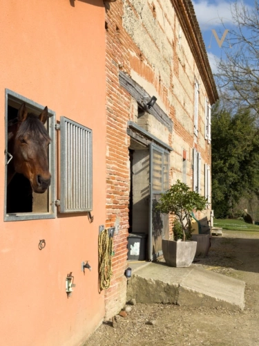 Photos 13 - Équestre - Propriété équestre de standing – Installations haut de gamme – 5 ha – Un bien rare offrant des infrastructures professionnelles, une maison confortable et un environnement priviligé à MOISSAC (82)