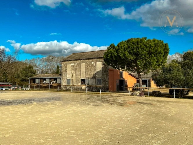 Photos 14 - Équestre - Propriété équestre de standing – Installations haut de gamme – 5 ha – Un bien rare offrant des infrastructures professionnelles, une maison confortable et un environnement priviligé à MOISSAC (82)