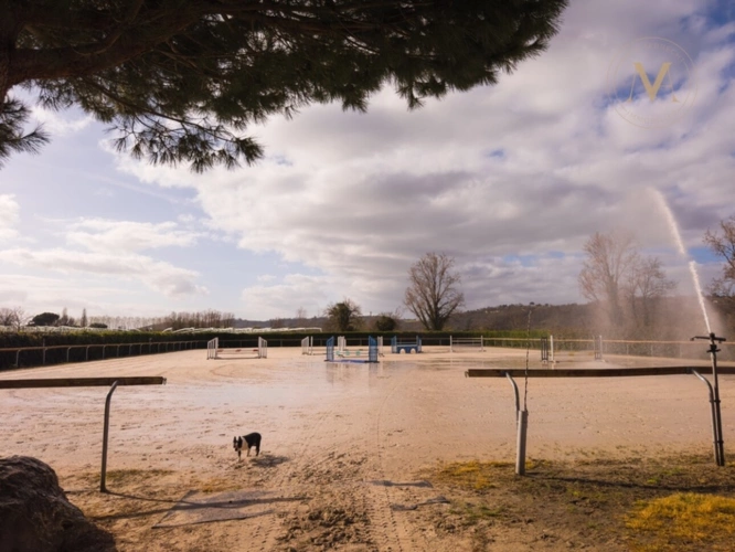 Photos 18 - Équestre - Propriété équestre de standing – Installations haut de gamme – 5 ha – Un bien rare offrant des infrastructures professionnelles, une maison confortable et un environnement priviligé à MOISSAC (82)