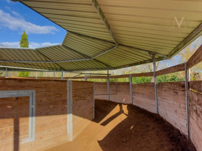 Photos 19 - Équestre - Propriété équestre de standing – Installations haut de gamme – 5 ha – Un bien rare offrant des infrastructures professionnelles, une maison confortable et un environnement priviligé à MOISSAC (82)