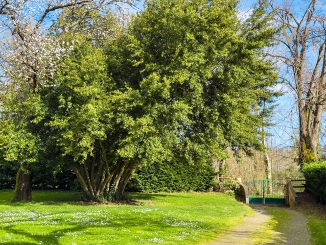 Photos 21 - Équestre - Propriété équestre de standing – Installations haut de gamme – 5 ha – Un bien rare offrant des infrastructures professionnelles, une maison confortable et un environnement priviligé à MOISSAC (82)