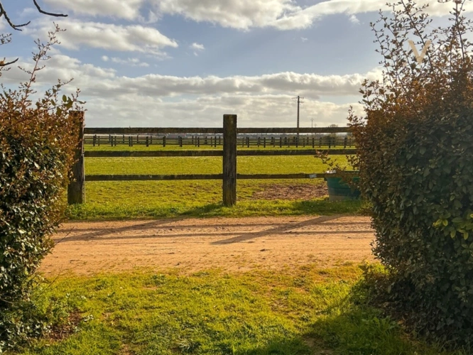 Photos 22 - Équestre - Propriété équestre de standing – Installations haut de gamme – 5 ha – Un bien rare offrant des infrastructures professionnelles, une maison confortable et un environnement priviligé à MOISSAC (82)