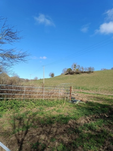 Photos 4 - Agricole - Terrain agricole sur 6 hectares, bois, sources, compteur électrique et eau, clos, abri animaux, chevaux