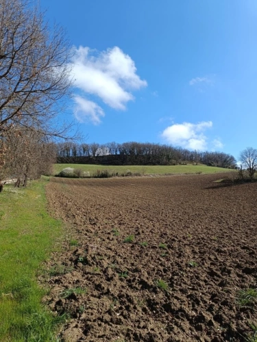 Photos 5 - Agricole - Terrain agricole sur 6 hectares, bois, sources, compteur électrique et eau, clos, abri animaux, chevaux