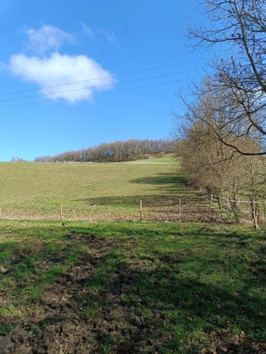Photos 6 - Agricole - Terrain agricole sur 6 hectares, bois, sources, compteur électrique et eau, clos, abri animaux, chevaux