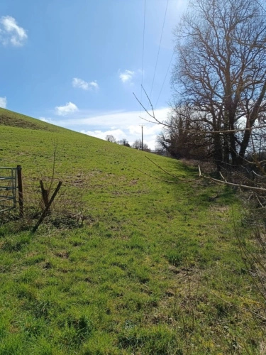 Photos 7 - Agricole - Terrain agricole sur 6 hectares, bois, sources, compteur électrique et eau, clos, abri animaux, chevaux