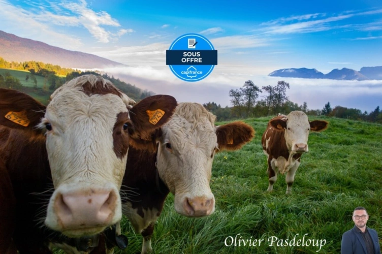 Photos 1 - Rurale - Bâtiment agricole à vendre à ANTULLY (71)