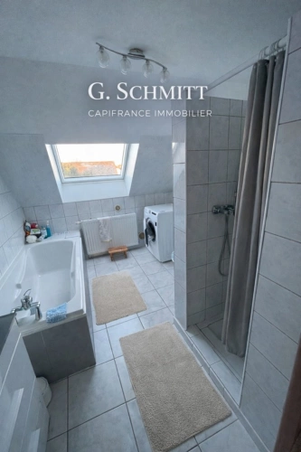 Photos 11 - Prestige - Propriete à vendre 12 pièces COLMAR (68)