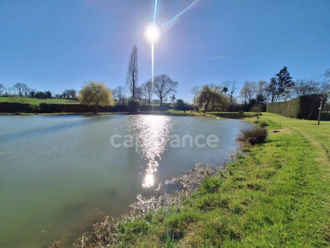 Photos 6 - Rurale - Terrain avce étang à MONTIGNE LE BRILLANT (53)