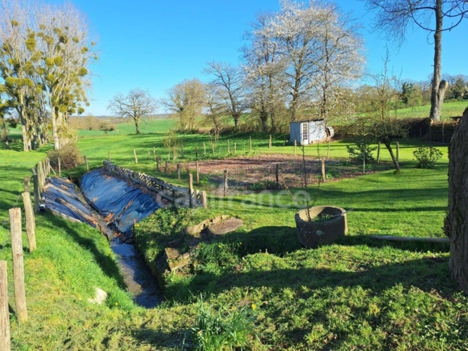 Photos 7 - Rurale - Terrain avce étang à MONTIGNE LE BRILLANT (53)
