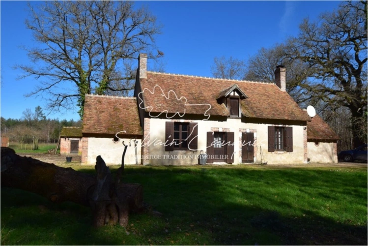Photos 10 - Forestière - Propriété de Chasse ou d'Agrément de 60 hectares en Sologne