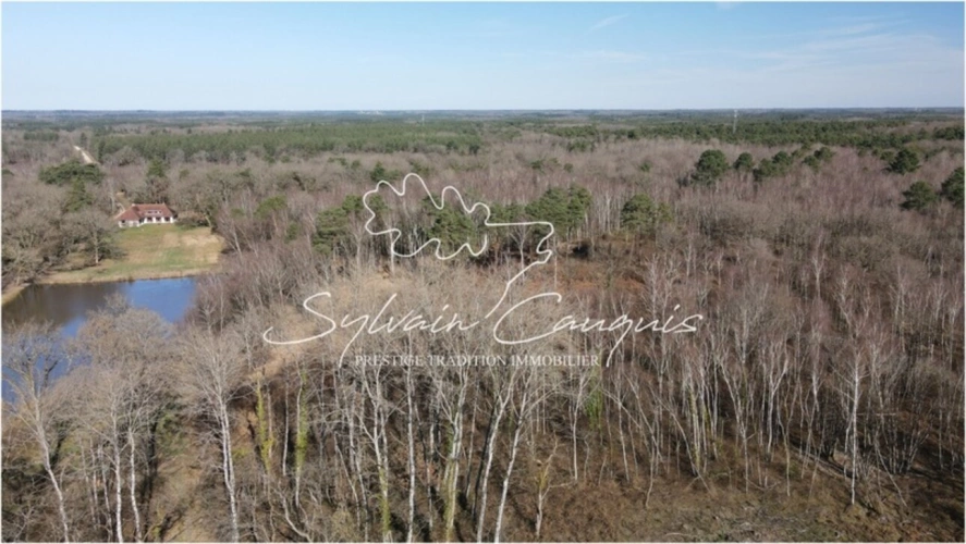 Photos 11 - Forestière - Propriété de Chasse ou d'Agrément de 60 hectares en Sologne