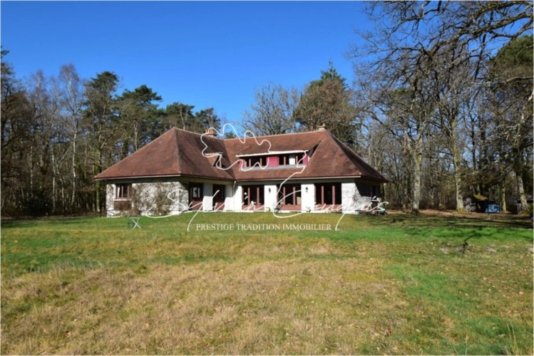 Photos 4 - Forestière - Propriété de Chasse ou d'Agrément de 60 hectares en Sologne