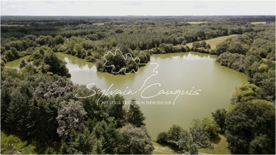 Photos 1 - Forestière - Propriété de Chasse et d'Agrément de 185 ha en Sologne