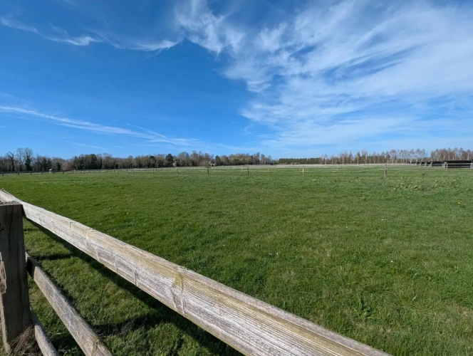 Photos 1 - Équestre - Propriété Equestre région Honfleur Deauville